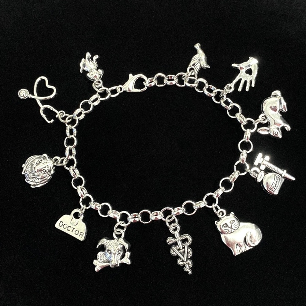 Veterinarian Charm Bracelet Animal Doctor